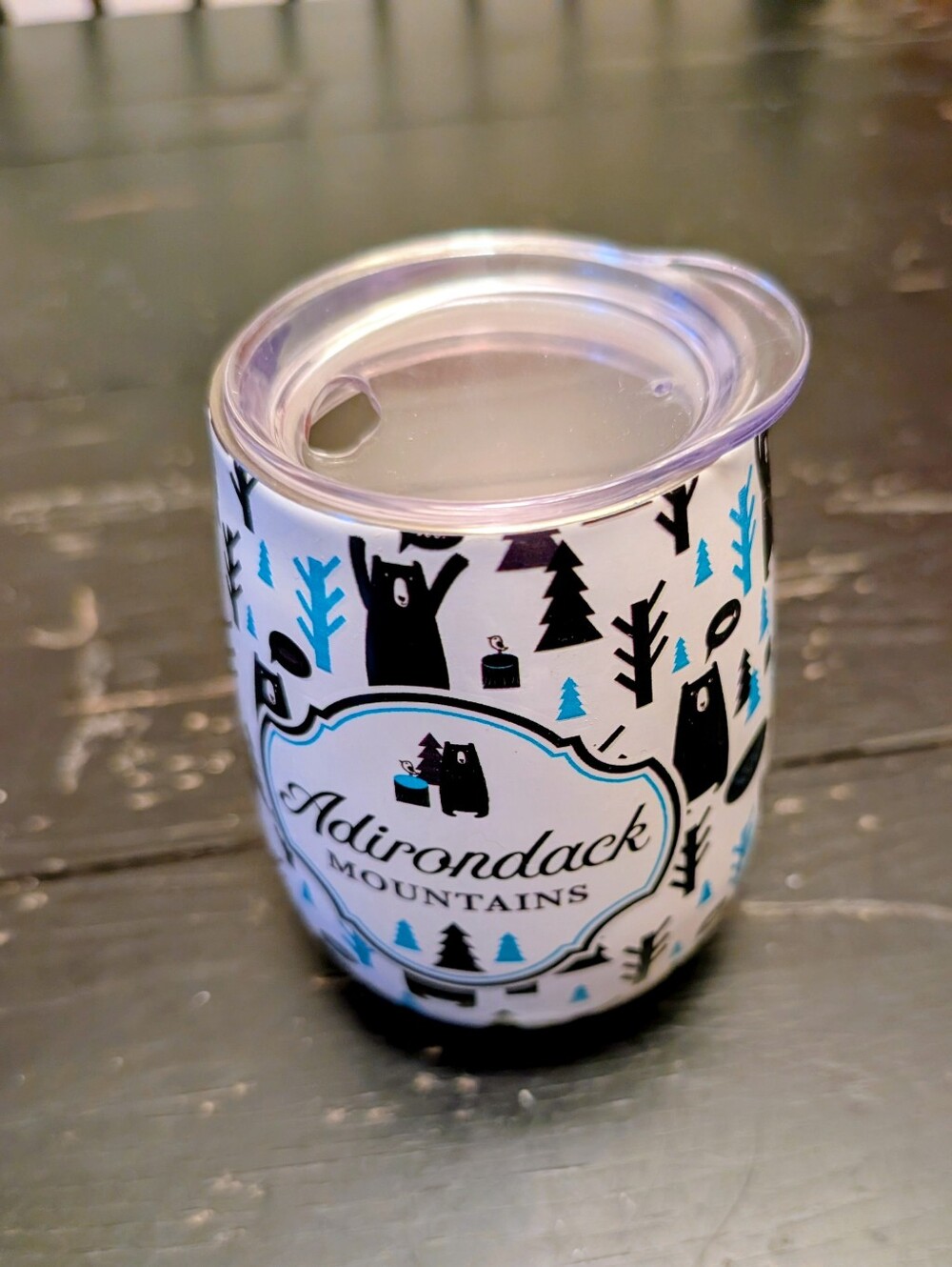 Adirondack Mountains Stainless Steel Wine Tumbler Cabincore Souvenir Collectible